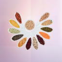 Pulses & Grains